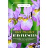 HOW TO GROW IRIS FLOWERS: Beginners guide to planting, caring
