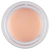 Collection Cosmetics Lasting Perfection Stretch Concealer, High Coverage and Versatile,