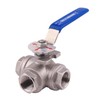 DERNORD 3-Way Ball Valve, T Mounting Pad, Stainless Steel 304