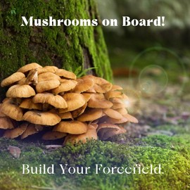 Urban Moonshine Mothership Mushroom - Herbal Supplement for Immune Support - with Lion’s Mane, Maitake, Turkey Tail & Reishi - Certified Organic, Gluten-Free & Vegan - 60 Capsules