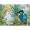 JIGSAW 1000 PIECE - NATURE RESERVE L