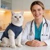 Gyuzh Cat Surgery Recovery Suit for Female Male Cats -