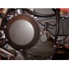 Desmoparts Ducati 2 Valve Engine Cover Stainless Screw / Bolt