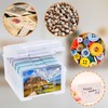 CAUTIOUS Photo Storage Box Photo Box Photo Organiser Transparent 22