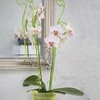 Orchid rod Blue Modern Design Plastic Crystal Green H 59