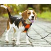 PoyPet No Pull Dog Harness with Neck Release Buckle, Reflective