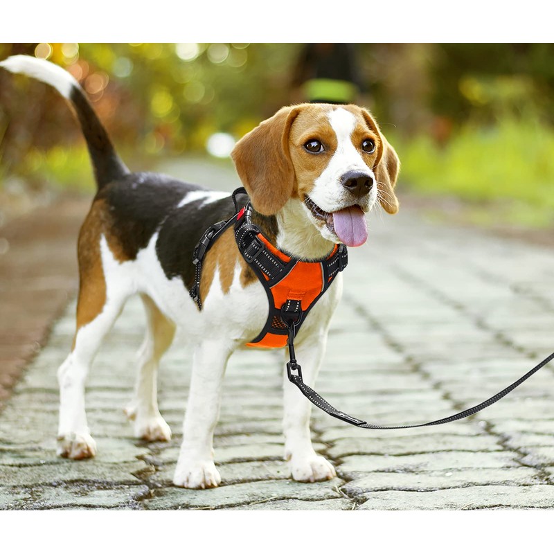 PoyPet No Pull Dog Harness with Neck Release Buckle, Reflective