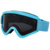 Electric California EGV Adult Goggles (One Size fits All), Light