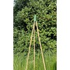 Pyramid Tips for Bamboo Sticks as Trellis Trellis Climbing Aid