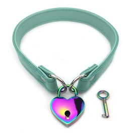 Succuba Padlock Choker Collar Necklace with Lock and Key Heart Lock Choker for Women and Men (F, 18)