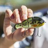 Catch Co Mike Bucca's Baby Bull Gill Swimbait - Bajo