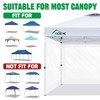 Acepic Clear Canopy Sidewalls for 10x10 Pop Up Tent, Transparent