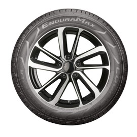 Cooper Discoverer EnduraMax All-Season 225/60R18 100H Tire