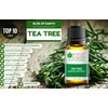 Bliss Of Earth 100% Pure Tea Tree Essential Oil -