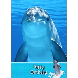 Dolphin Birthday Card