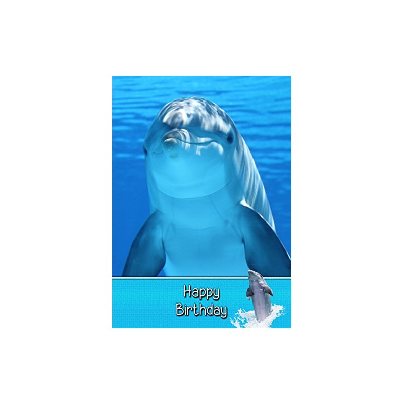 Dolphin Birthday Card