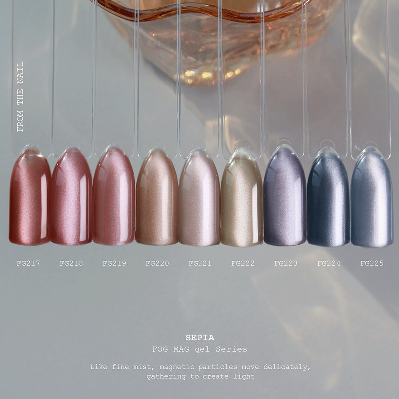 From the Nail Sepia 9 types of individual magnetic gel