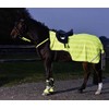 Busse Everline Reflection Blanket