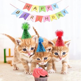 Dog Birthday Hats Party Supplies 10 PCS Mini Hat Set with Happy Birthday Banner for Stuffed Animals Puppy Kitten Costume Accessories