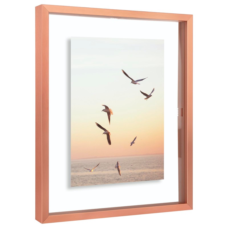 Frametory, Floating Picture Frame 8x10 - Rose Gold Aluminum Metal