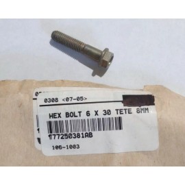Ducati Streetfighter, Superbike Hex Bolt 6X30 NOS 77250381AB (L-8094)