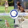 Blue Dog Tie Out Cable Leash: 3/6/9/15m Runner for Yard,