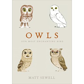 Owls: Our Most Enchanting Bird