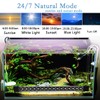 REIRQIE Submersible Aquarium Light for Fish Tank,24/7 Mode Full Spectrum