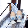 Cinf Ceramic Egg Cup Set of 2 Porcelain Holder Breakfast