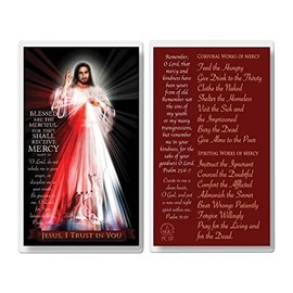 Set of 20 Laminated Catholic Prayer Cards - Divine Mercy (Works of Mercy)