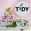 Tidy Tea, Delhi Decaf, 2 x 15 Plastic Free Pyramid