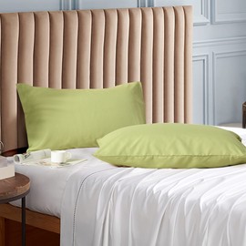 Evolive Ultra Soft Brushed Microfiber Standard Size 20"x30" Pillowcases Pair Set of 2 with Envelope Closure (Sage, 20"x30" Standard)