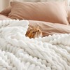 BEDSURE Cuddly Blanket Fluffy Blanket Fleece Blanket - Soft Warm