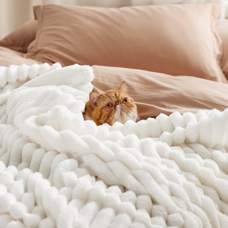 BEDSURE Cuddly Blanket Fluffy Blanket Fleece Blanket - Soft Warm
