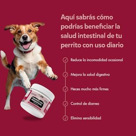 Formula Avanzada de Probióticos para Perros, ayudan a la Salud intestinal, la diarrea Ocasional, la Salud digestiva y Las alergias estacionales. 30 pr