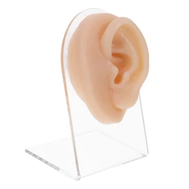 Healvian Realistic Fake Ear Model Earring Practice Body Parts Hypoallergenic Earring Display