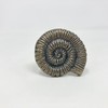 Antique Bronze Sea-Life Marine Nautical Drawer Knobs, Bathroom, Cupboards, Dresser