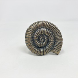 Antique Bronze Sea-Life Marine Nautical Drawer Knobs, Bathroom, Cupboards, Dresser (1. Large Shell)