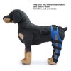 Dog Hind Leg Brace Breathable Elastic Shockproof Dog Leg Protector