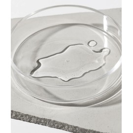 OSAJI Sensitive Skin Lotion "Simple & Minimal Lotion that Eliminates Sensitive Skin/Irritating Ingredients as Much As Possible, Carefully Selected and Formulated Only Necessary" 5.1 fl oz (150 ml)