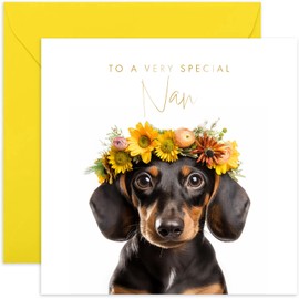 Old English Co. Daschund Dog Very Special Nan Card - Daschund Floral Cute Birthday Card for Her - Cute Well Done Congratulations Cards for Nan from Family Friends | Blank Inside