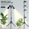XINCLING 10W Spot Lights Indoor, 22-63.5” Adjustable Tripod & E26