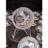 MYRECOVERYSTORE Silver and Black Pirate Alcoholics Anonymous AA Chip w/Coin