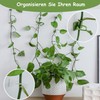 Chyuxinda Plant Clips, Plant Clips, Cable Organiser for Climbing Plants,