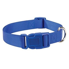 Zack & Zoey Blue Dog Collar Bulk LOT Packs 4 Sizes Nylon Litter Band Puppy Rescue Shelter(Small - 10 to 16 Inch 20 Collars)