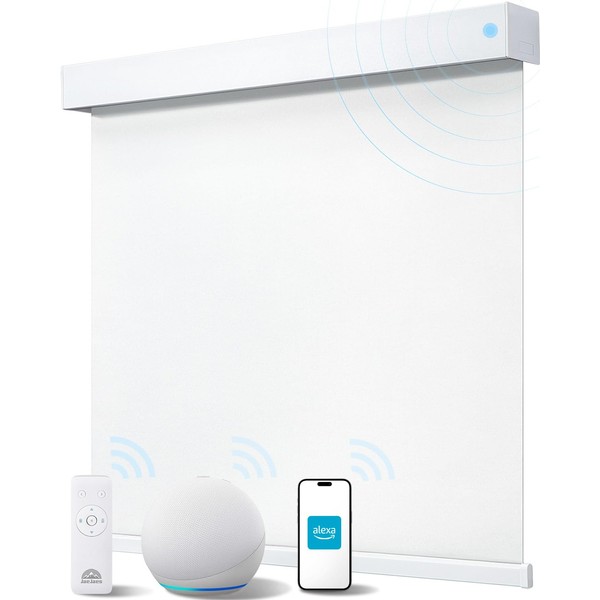 JaeJaes Smart Roller Shades for Windows, Alexa Motorized Blackout Blinds
