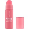 Catrice Blushin' Charm Multi Stick, Blush, No. 010, Pink, Instant