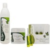 Kismera Line Hair Loss Control Shampoo & Cream & Treatment 12x15ml each "Set"