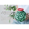 Watermelon Ice Bag (S) Ice Bag Red Approx. Φ5.5 inches