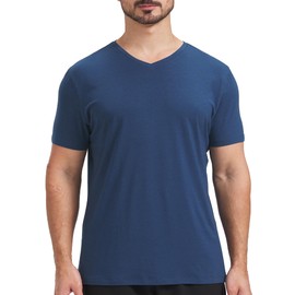 netdraw Men's Ultra Soft V-Neck Bamboo Viscose T-Shirt Comfy Lightweight Casual Basic Undershirts Pajama Tops (Pacific Blue, 3X-Large)